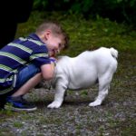 Gyermekbiztonság a kölykök kutyák körül